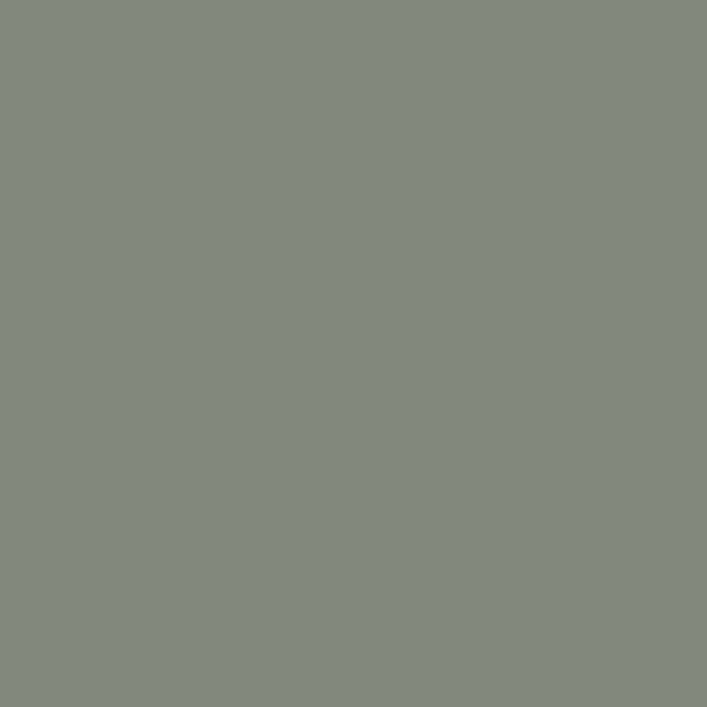 RAL 7033 Cement grey entry-doors door-colors ral-colors ral-7033-cement-grey texture