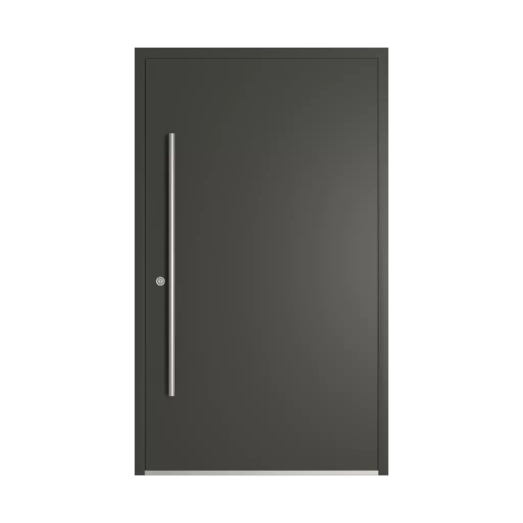 RAL 6015 Black olive entry-doors models-of-door-fillings dindecor sk01-beton  