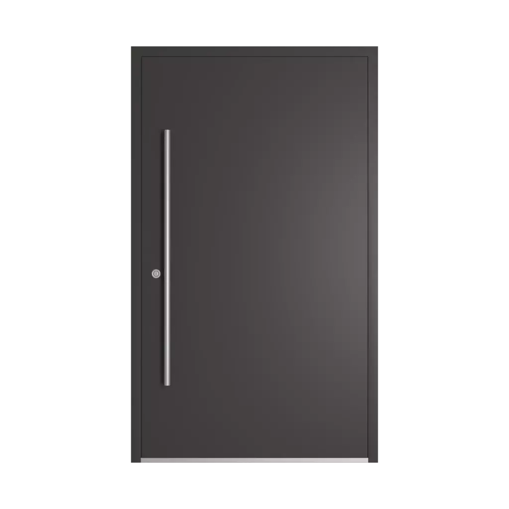 RAL 8019 Grey brown entry-doors models-of-door-fillings dindecor sk01-beton  