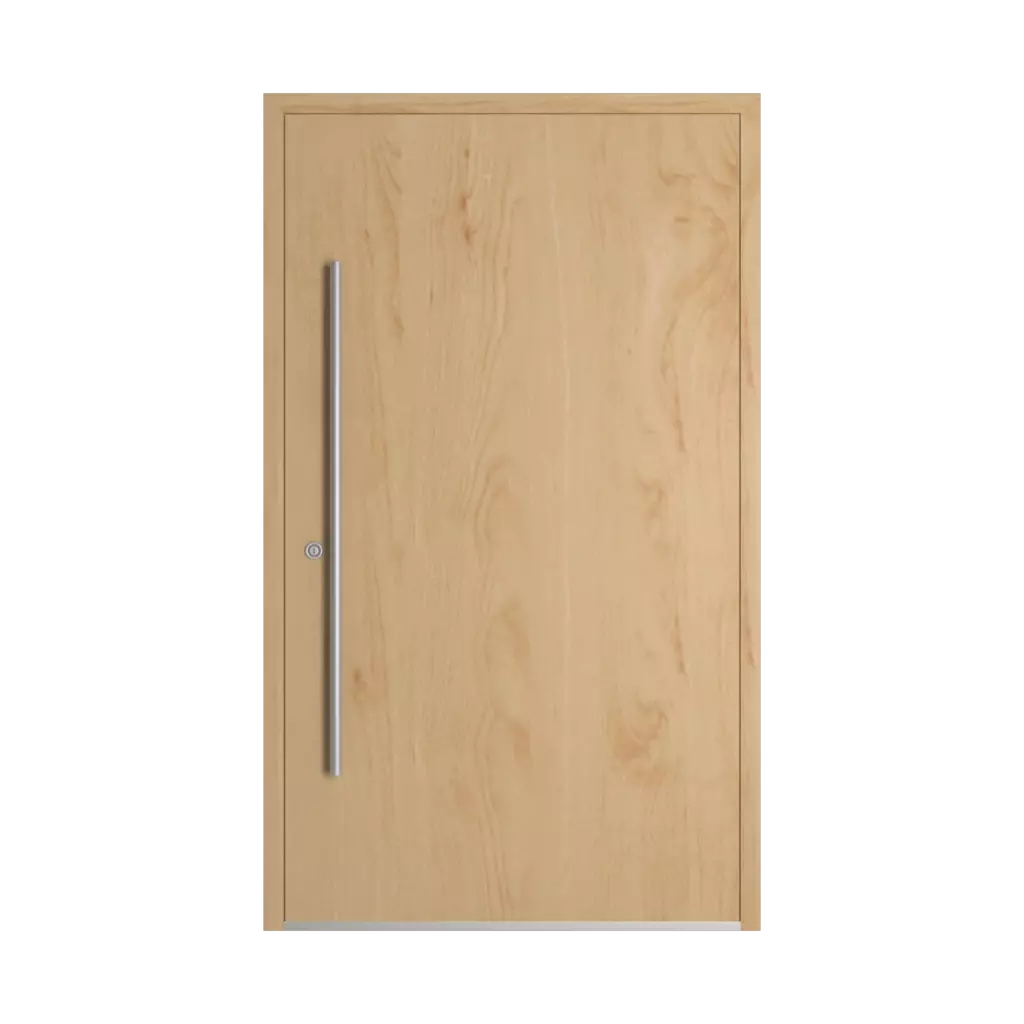 Birch entry-doors models-of-door-fillings dindecor gl08  