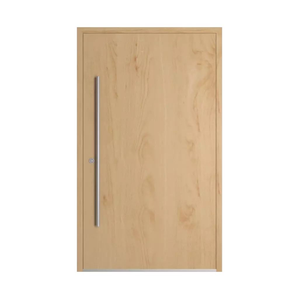 Birch entry-doors models-of-door-fillings cdm model-39  