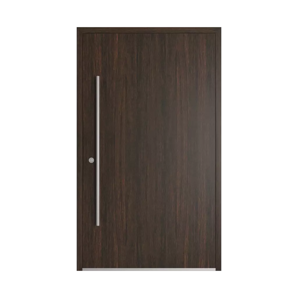 Dark oak entry-doors models-of-door-fillings dindecor sk06-grey  