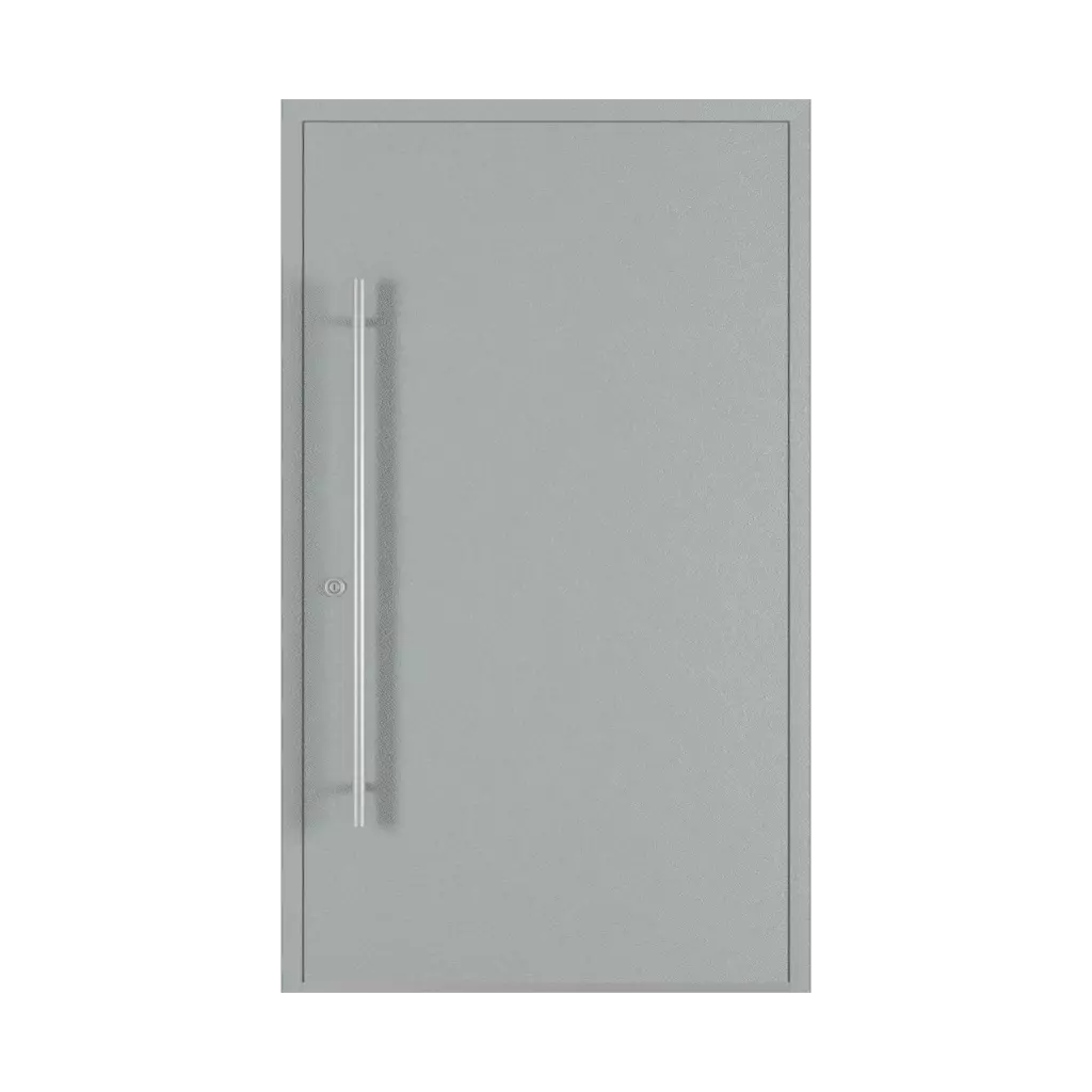 Gray entry-doors models-of-door-fillings dindecor be04  