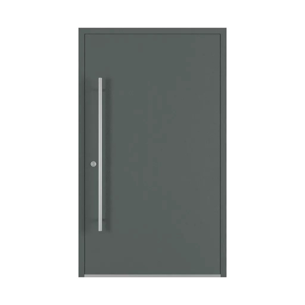 Basalt gray entry-doors models-of-door-fillings dindecor 6036-pvc  