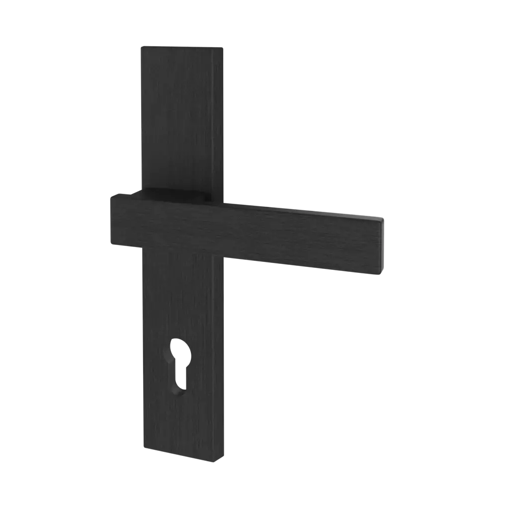 Black entry-doors door-accessories handles magnus 