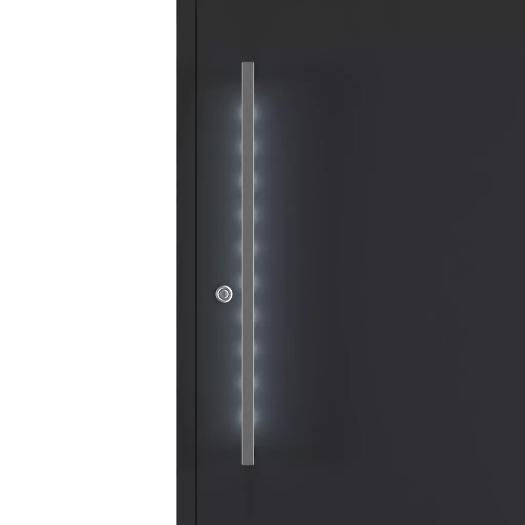 Pull handle illumination entry-doors door-accessories pull-handles pzl 