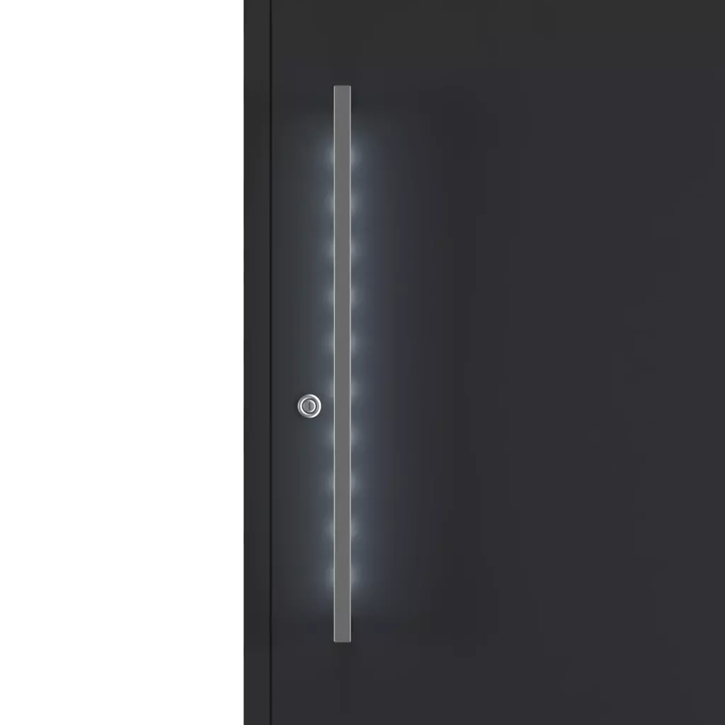 Pull handle illumination entry-doors door-accessories pull-handles pzv 