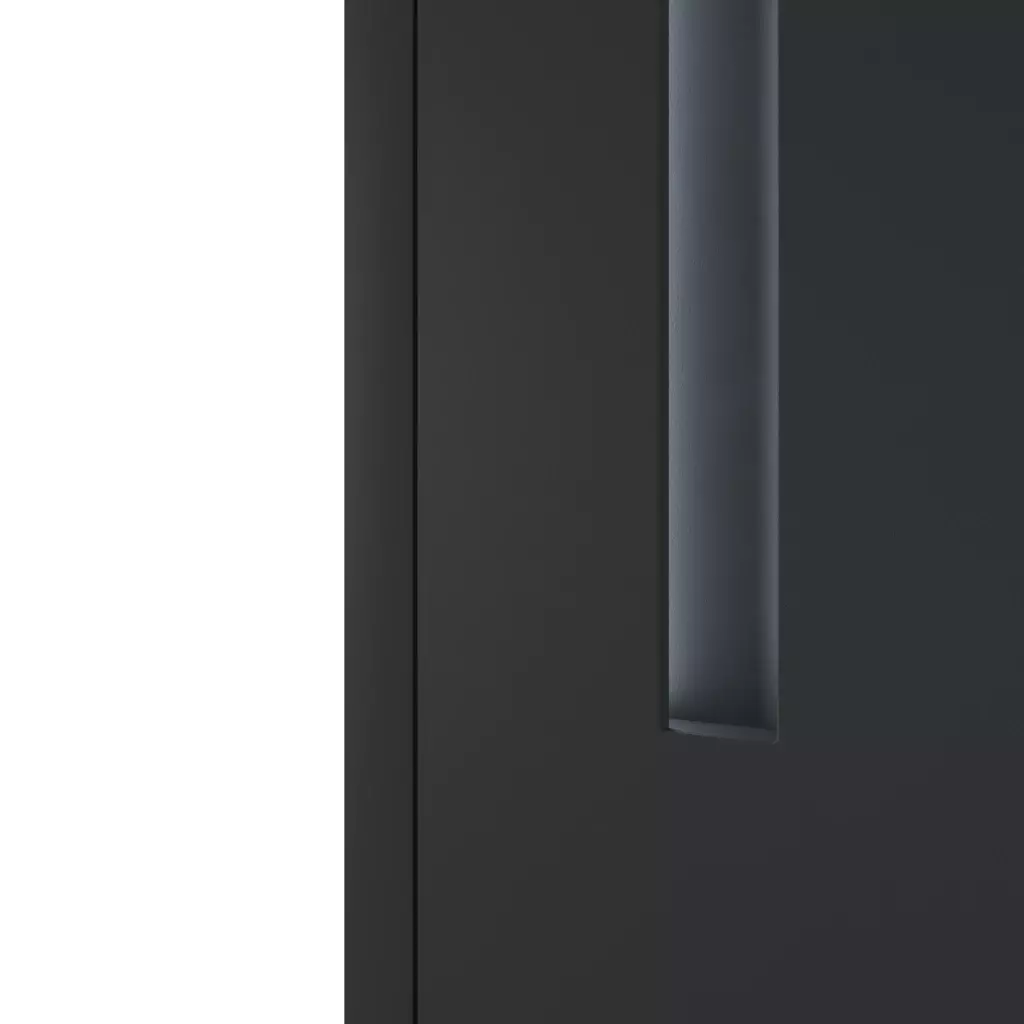 PWZ pull handle illumination entry-doors door-accessories pull-handles qs 