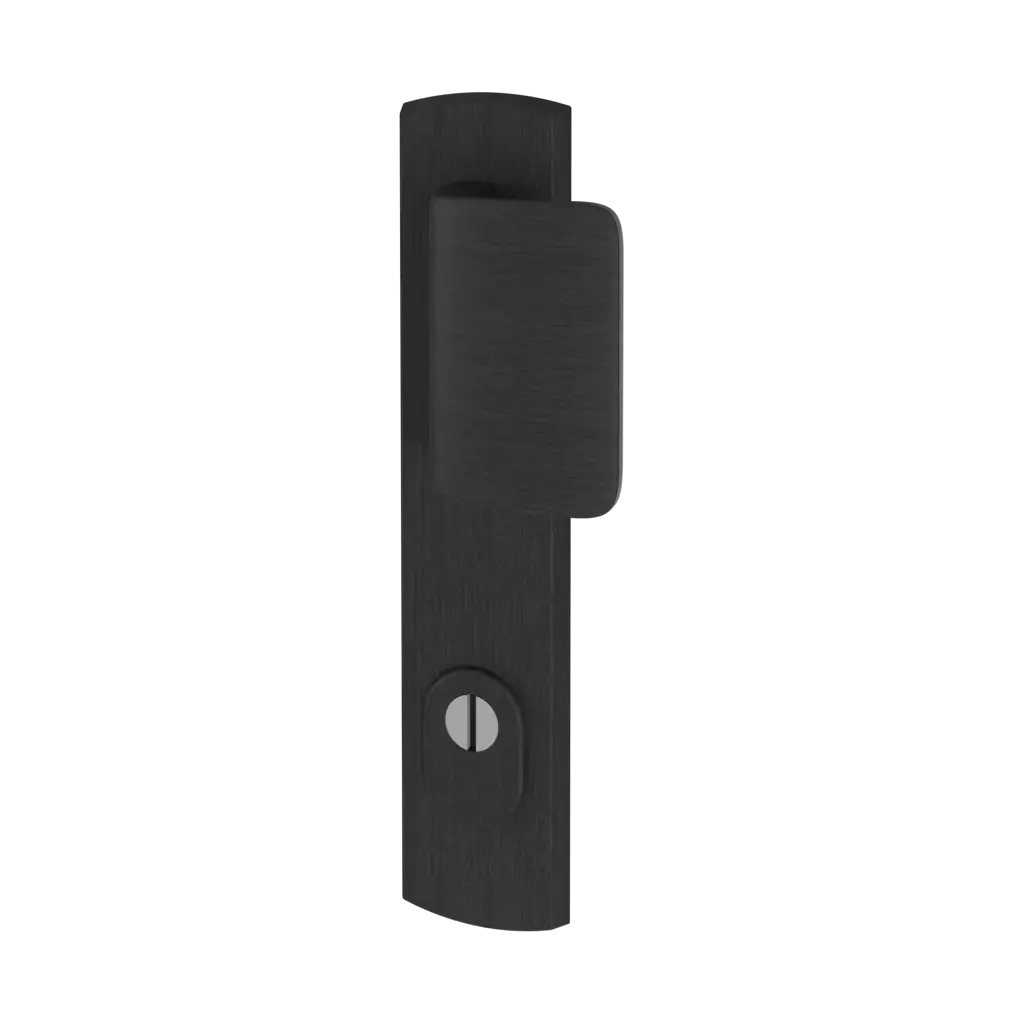 Black F8 entry-doors door-accessories door-knobs apollo interior