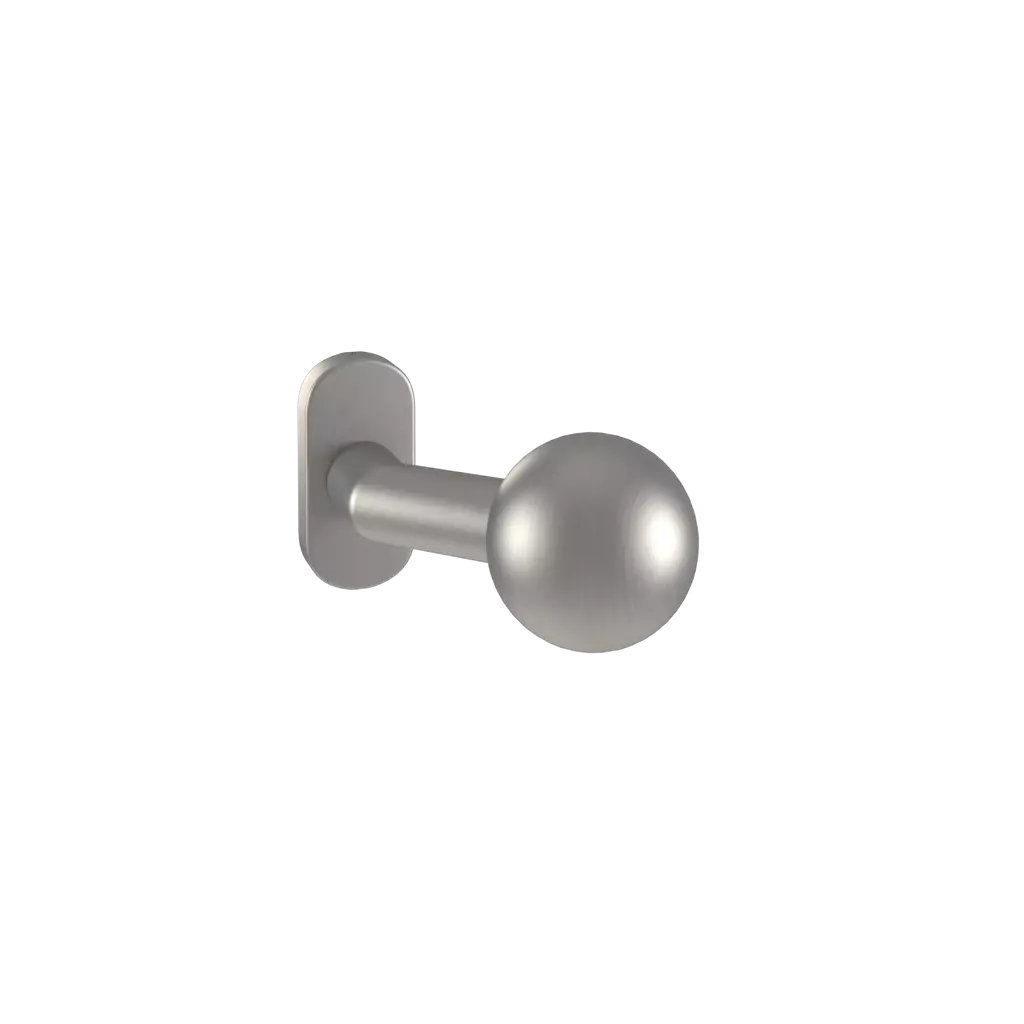 Silver entry-doors door-accessories door-knobs dallas interior