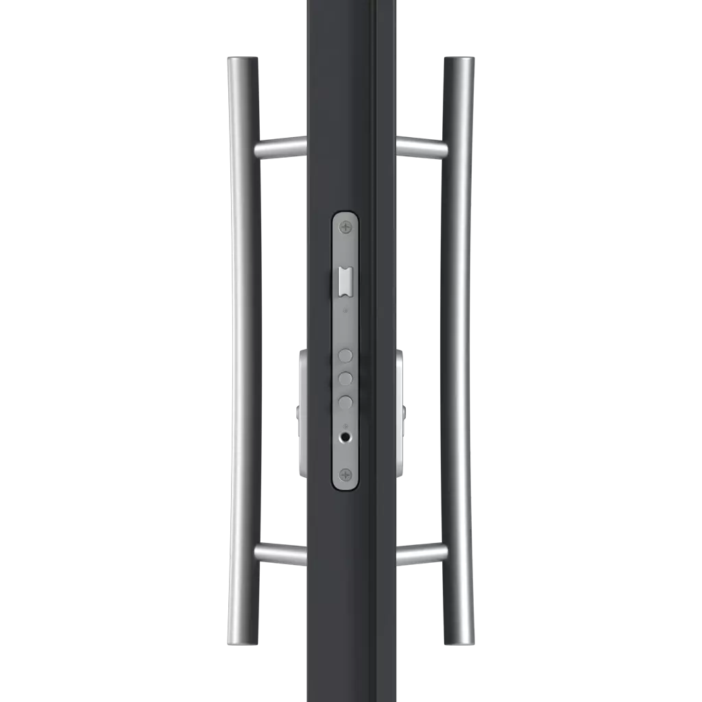 Pull handle(s) entry-doors models-of-door-fillings dindecor sk06-grey  
