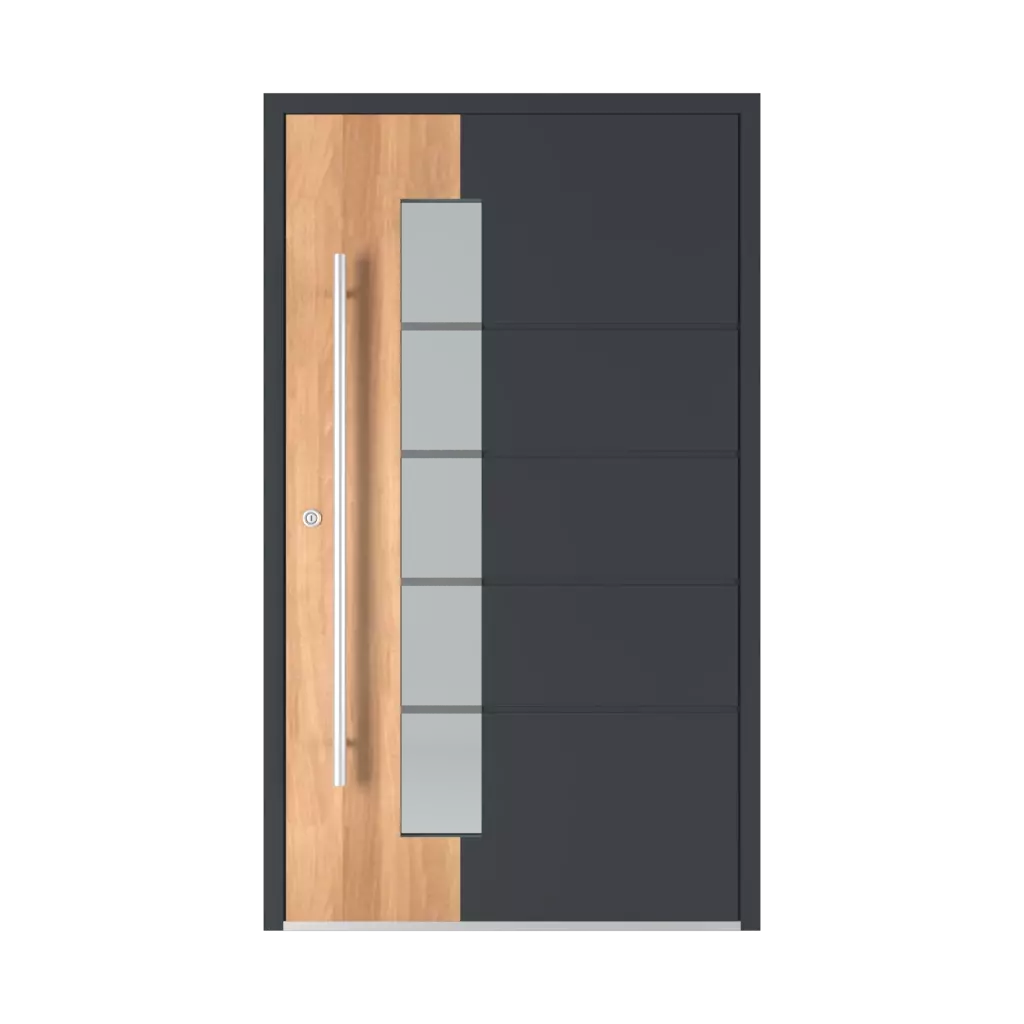 Model 6107 entry-doors models-of-door-fillings aluminum 