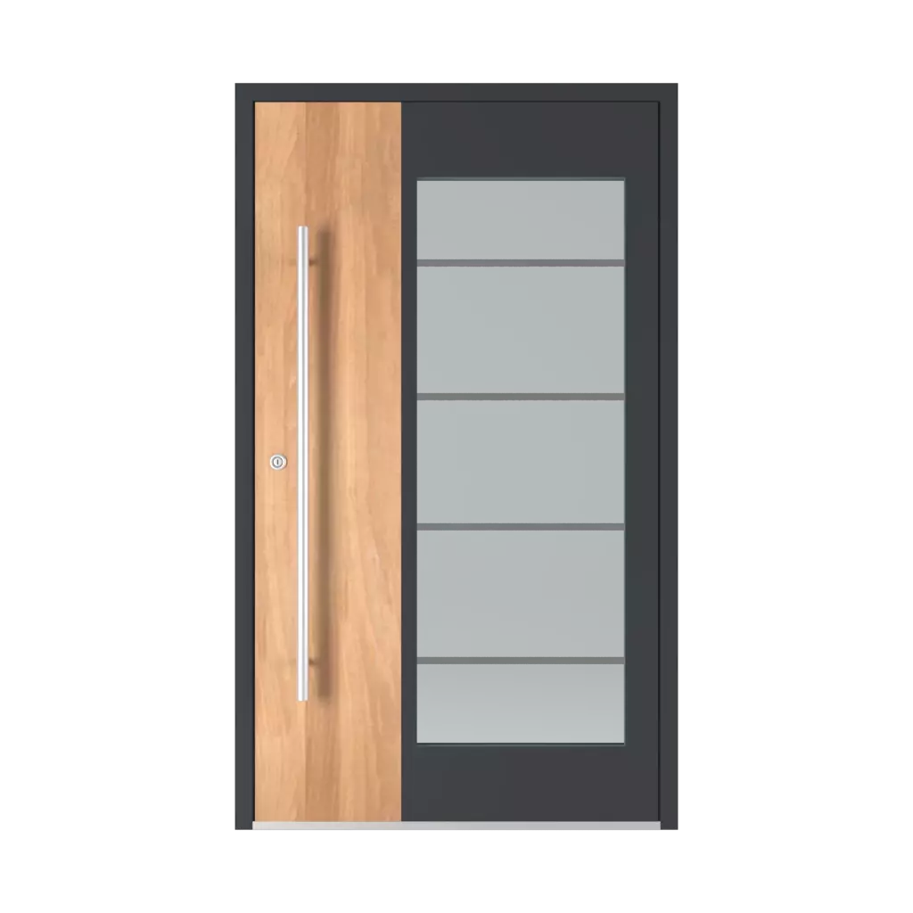 Model 6110 products aluminum-entry-doors    