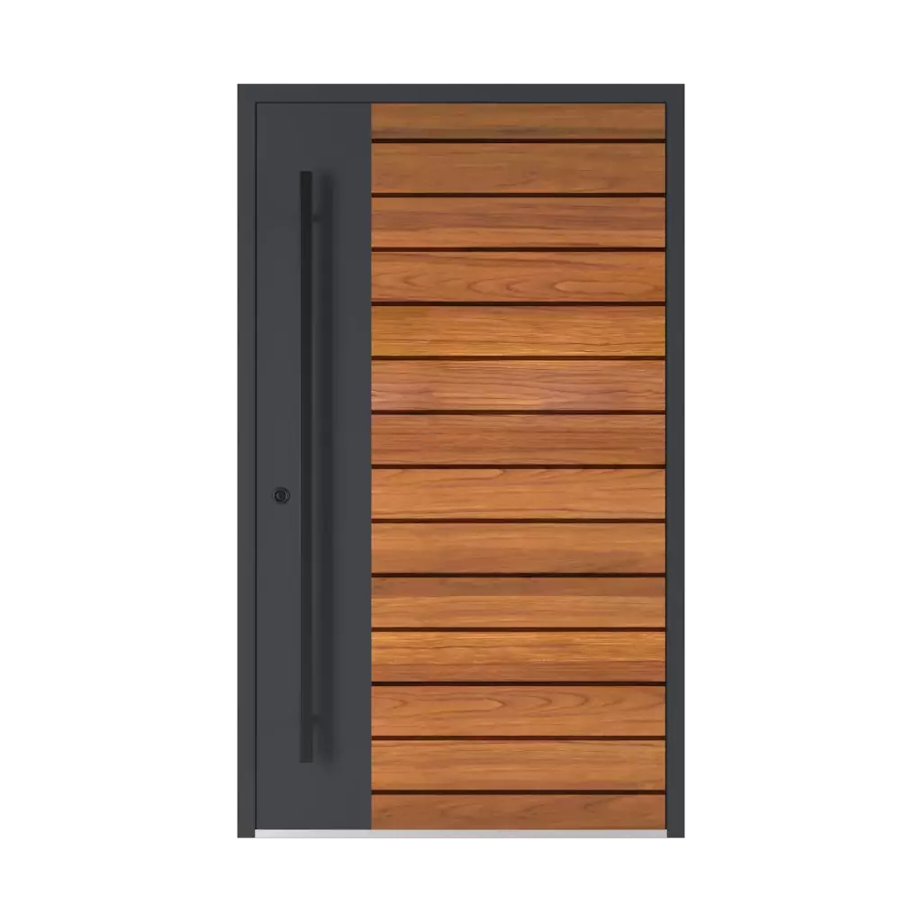 Model 6123 ✨ entry-doors door-colors  
