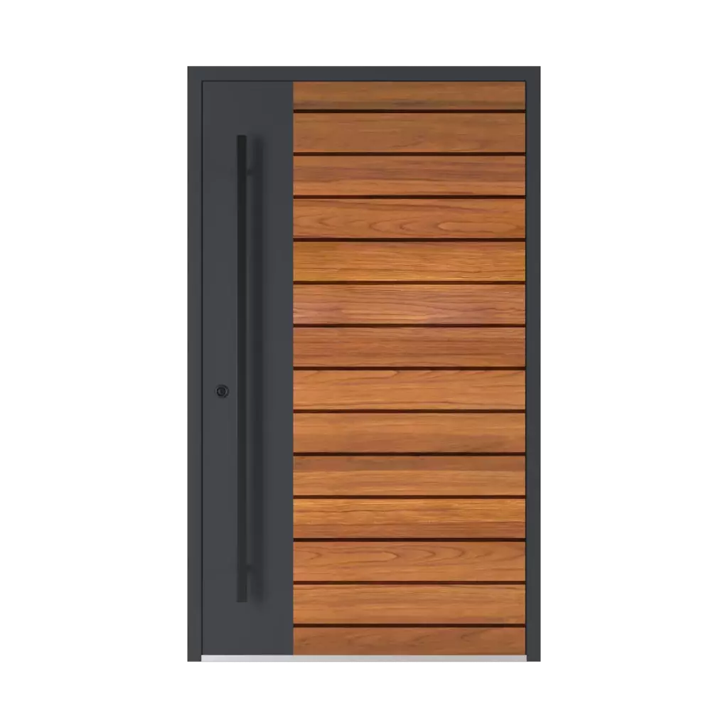 Model 6123 ✨ entry-doors door-colors standard-colors dark-brown-matt 