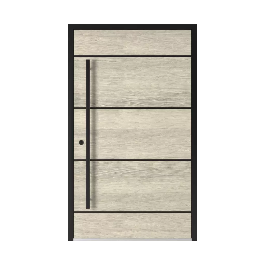 5009 Black entry-doors models-of-door-fillings aluminum 