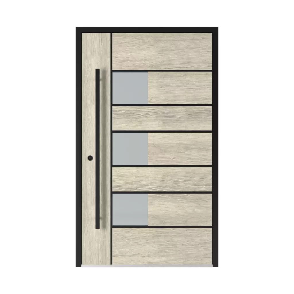 5026 Black entry-doors models-of-door-fillings glazed 