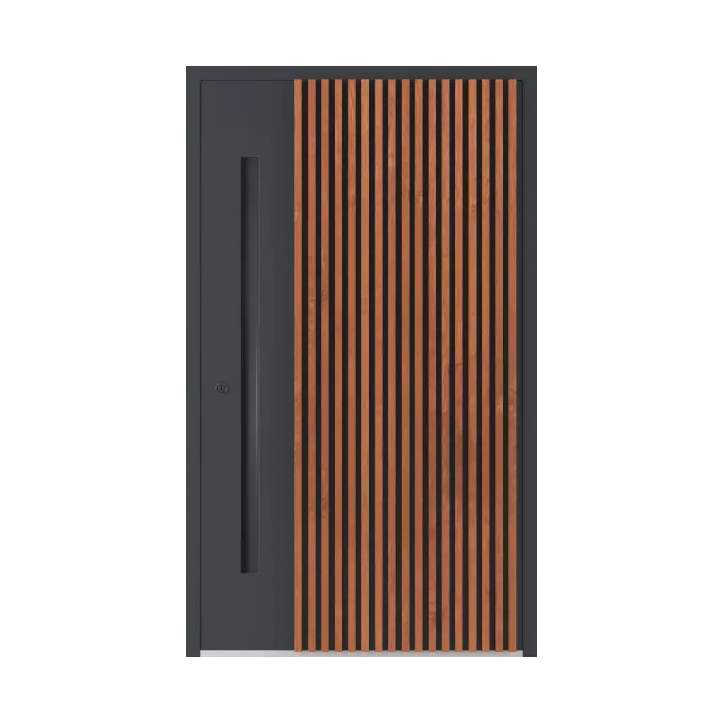 LL06 🏆 entry-doors new-and-trendy   