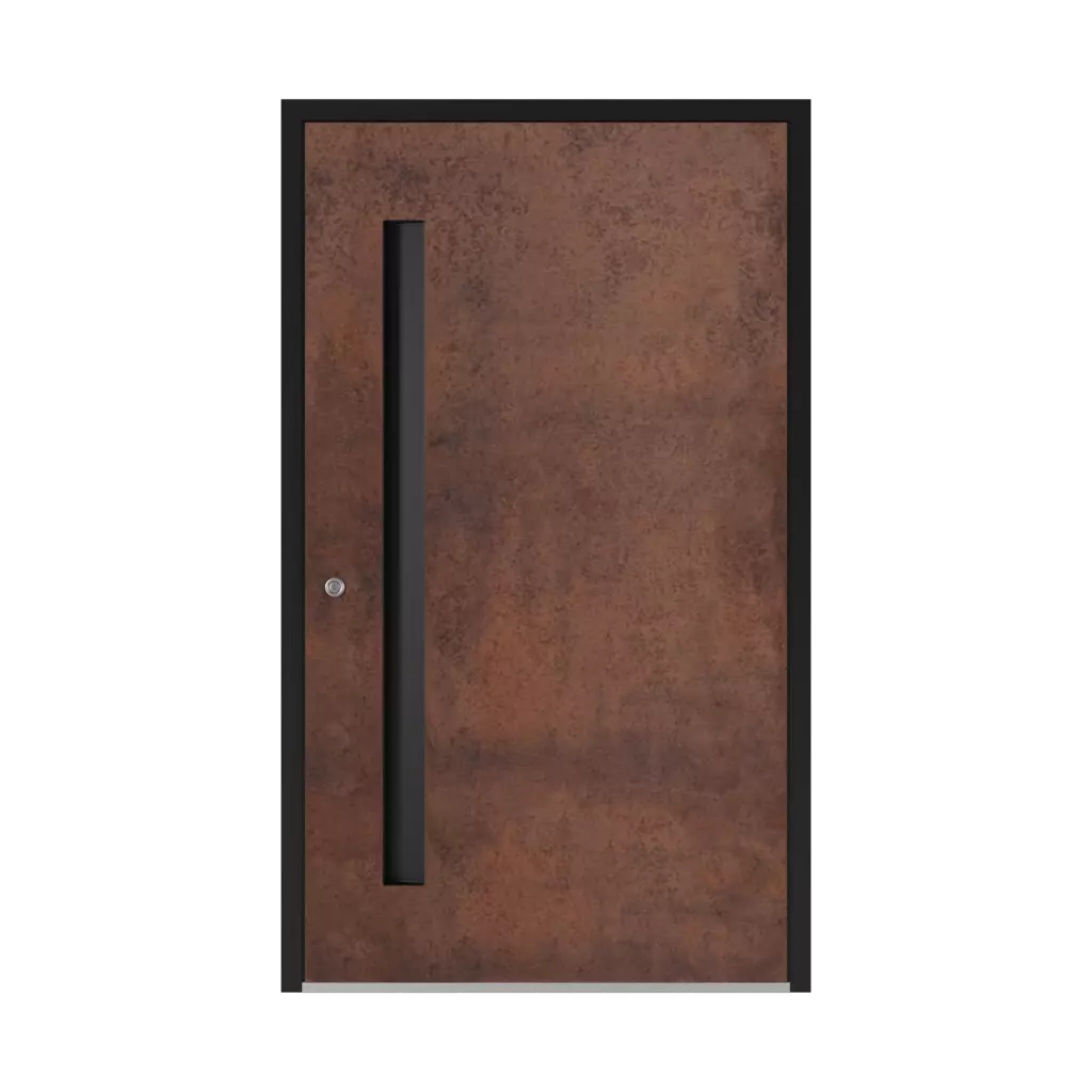 SK06 Corten 🏆 entry-doors models-of-door-fillings aluminum 