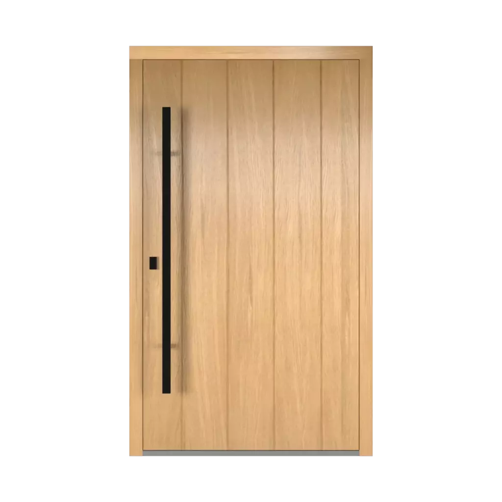 Dublin entry-doors models-of-door-fillings wood 