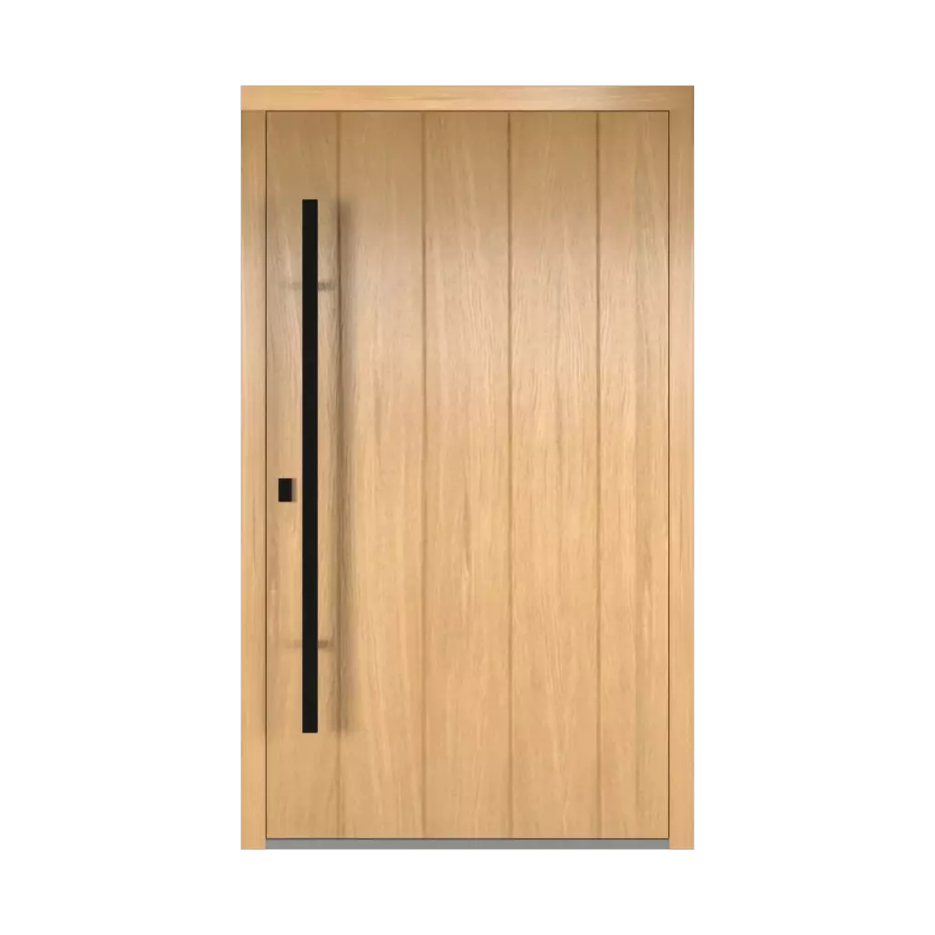 Dublin entry-doors models-of-door-fillings adezo 