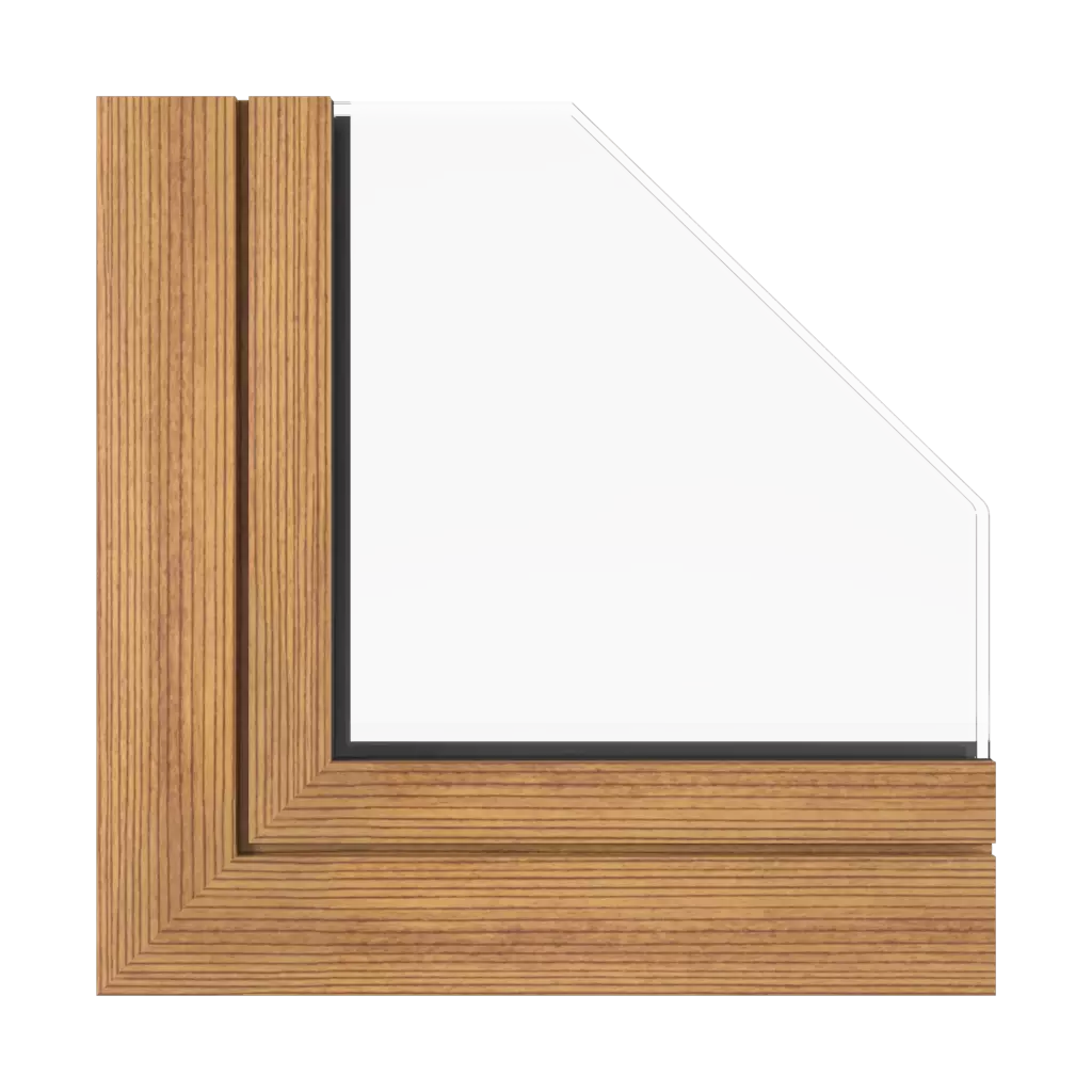 Dark fir windows window-profiles aluprof mb-104-passive
