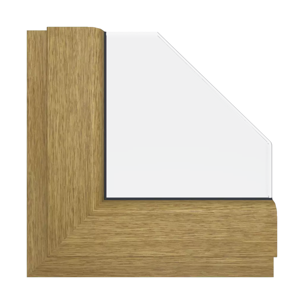 Natural oak windows window-color aluplast-colors natural-oak interior