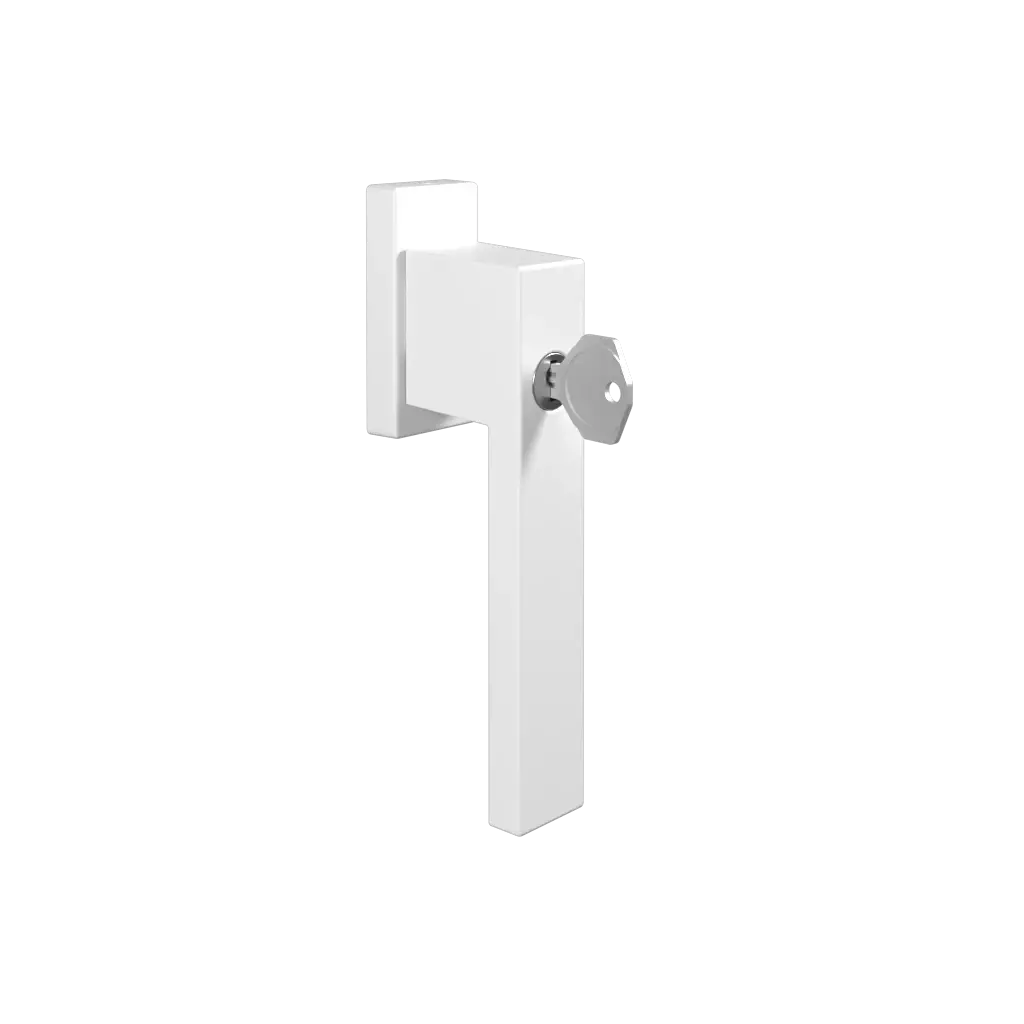 Door handle with key Dublin white windows window-color  