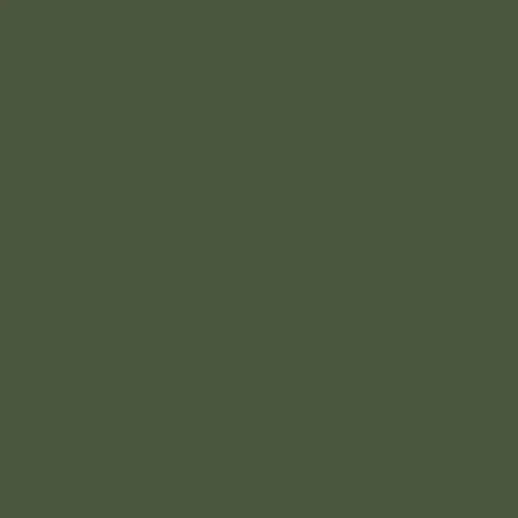 RAL 6003 Olive green windows window-color aluminum-ral ral-6003-olive-green texture